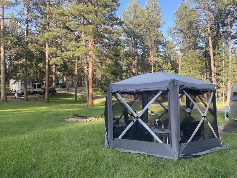 Cabela's quick clearance set screen shelter