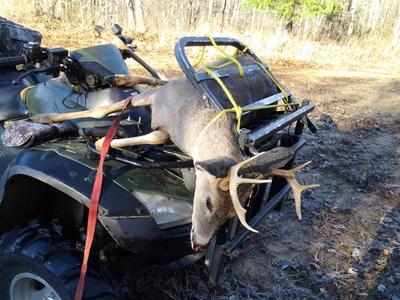 Deer lift clearance for atv