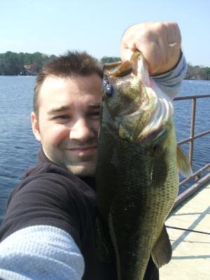 kickin bass attractant