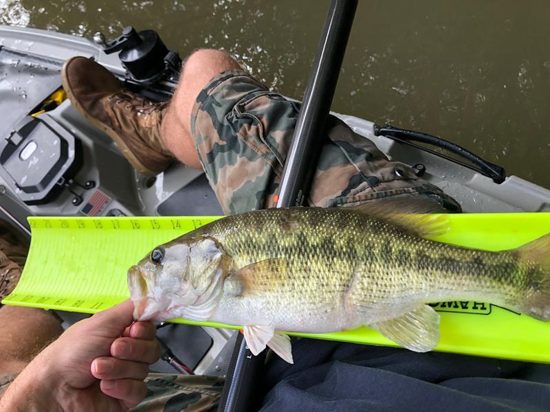 hawg trough fish ruler