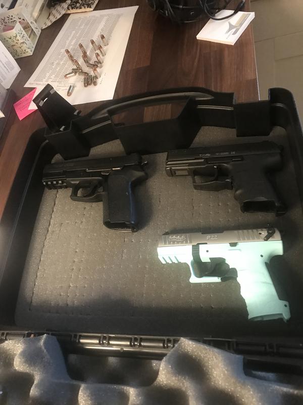 Small Plano Shaped Pistol Case 