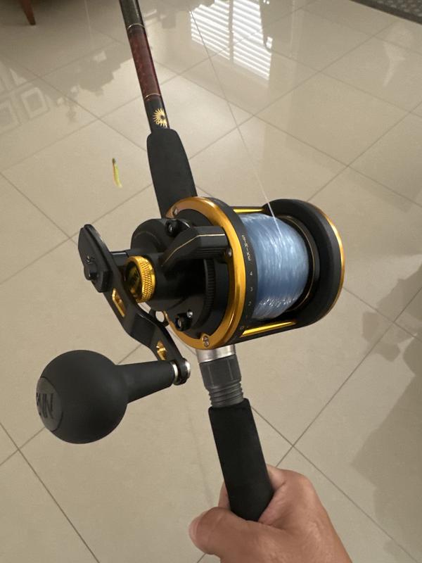  Penn Squall SQL40LD Lever Drag Reel - Right-Handed : Fishing  Reels : Sports & Outdoors