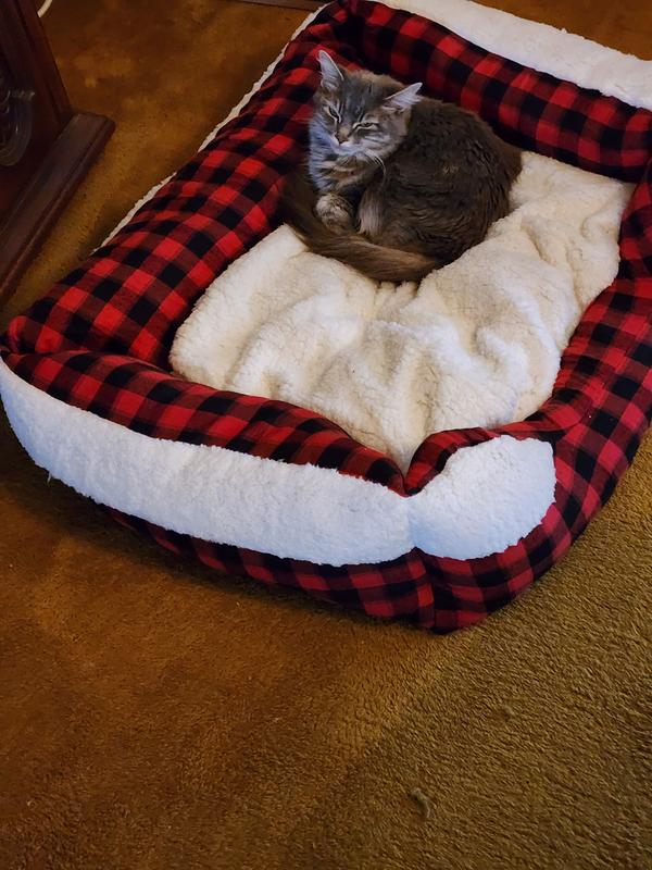 Buffalo check cat outlet bed