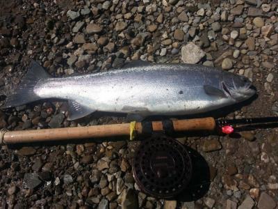 okuma aventa centerpin float combo