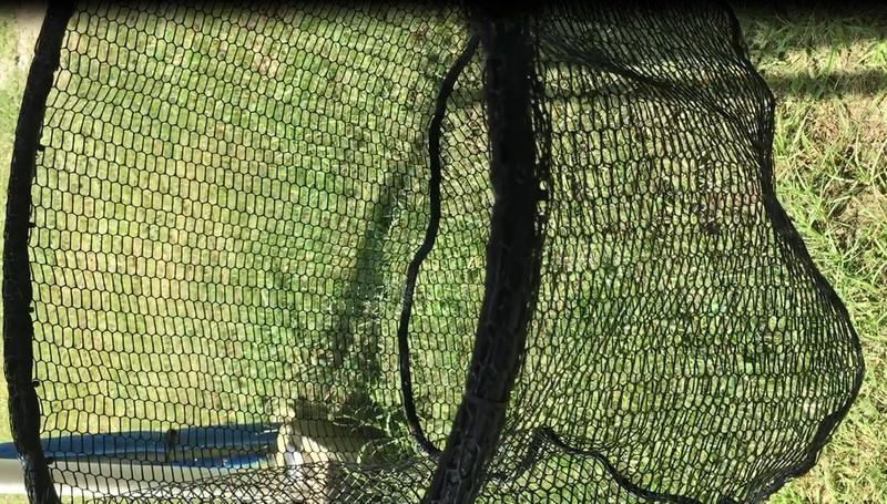 Bass Pro Shops Gold Series Replacement Nets