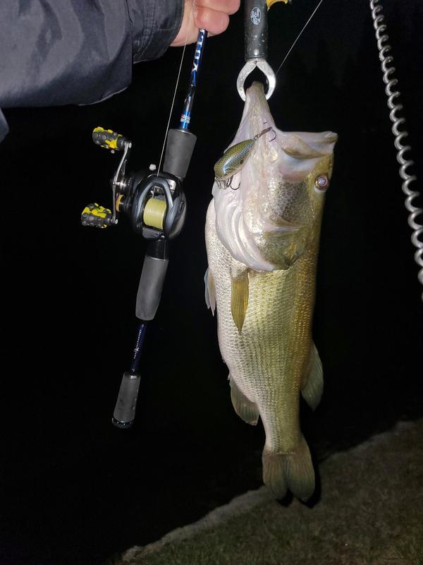5) Bass Pro Shops XPS Lazer Eye 1/2 oz Lipless Crankbait Fishing