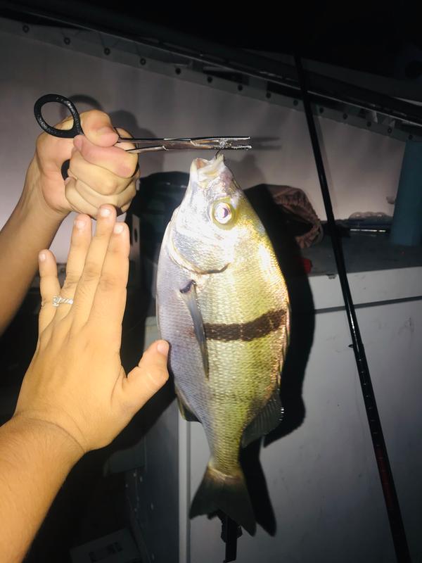 uncle buck's crappie pole