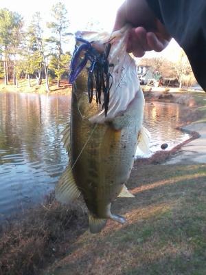 Lunker Lure Triple Rattleback Flipping Jig