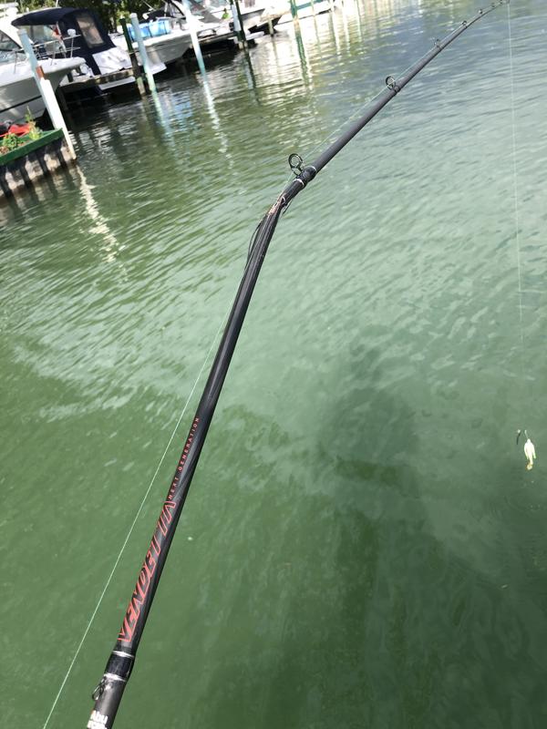 Details about   Abu Garcia Revo SX/Vendetta Casting Rod And Reel Combo 