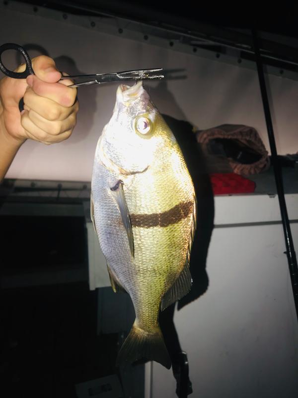 uncle buck's crappie pole