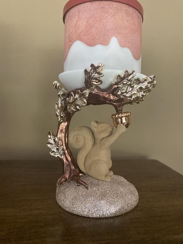 RARE Bath and Body works Squirrel candle good holder