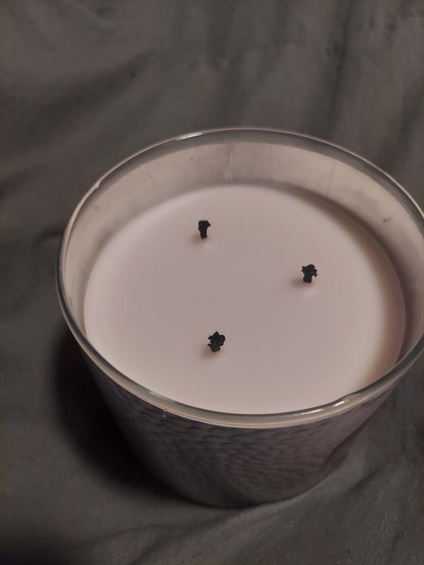 Pistachio & Toasted Vanilla 3-Wick Candle - White Barn