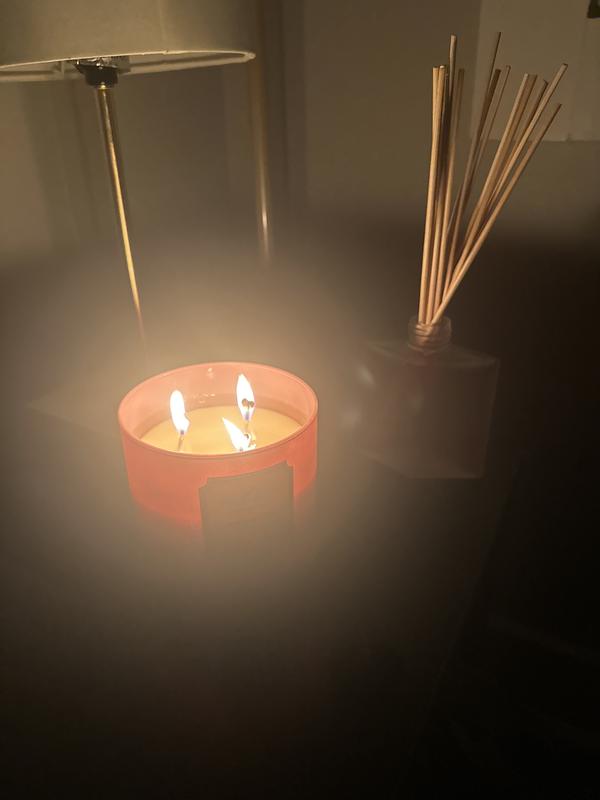 Rose Water & Ivy 3-Wick Candle | Bath & Body Works