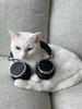 BEYERDYNAMIC AVENTHO 100 BT BLACK