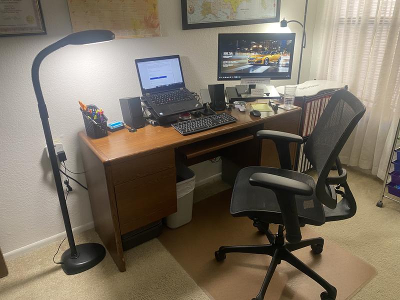 SmartLight LED Floor Lamp in my office.