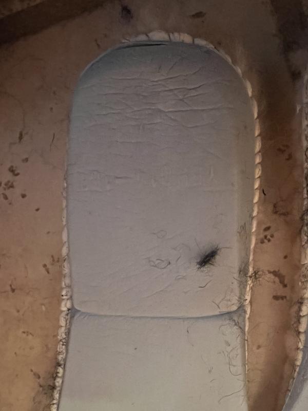 Photo submitted with review of product