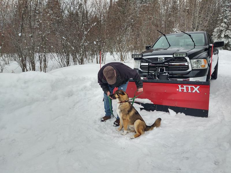 New Bearpaws, new puppy