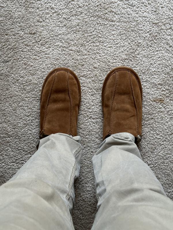 Bearpaw men's saxon store slippers