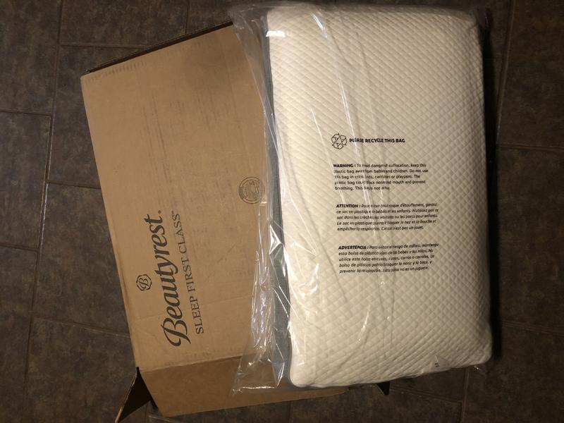 Beautyrest absolute 2025 beauty pillow