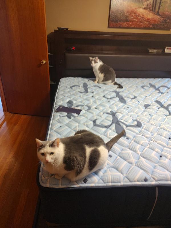 Customer carousel item 2.