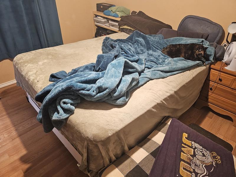 Kitty making herself comfortable on the new bed