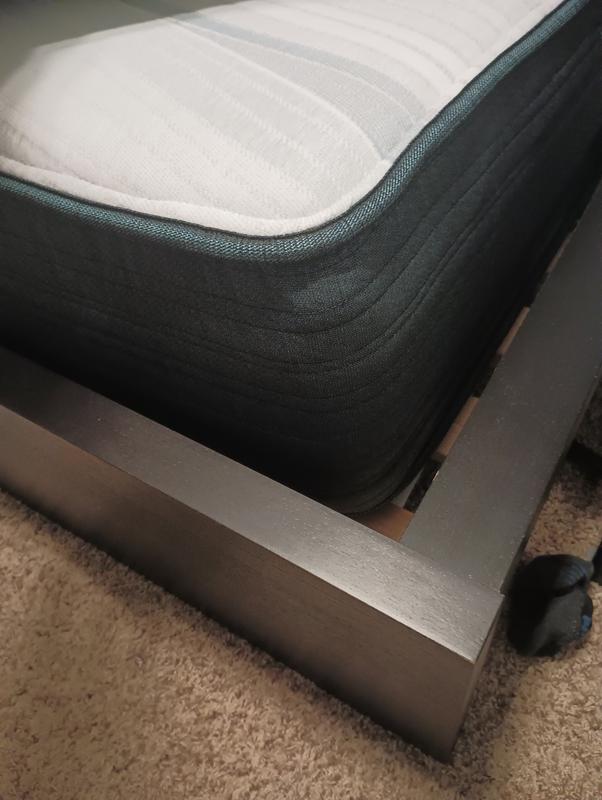 The Queen fits nicely