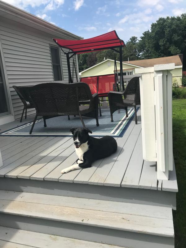 Miami Border Stripe Indoor/Outdoor Area Rug in Blue Bed Bath and