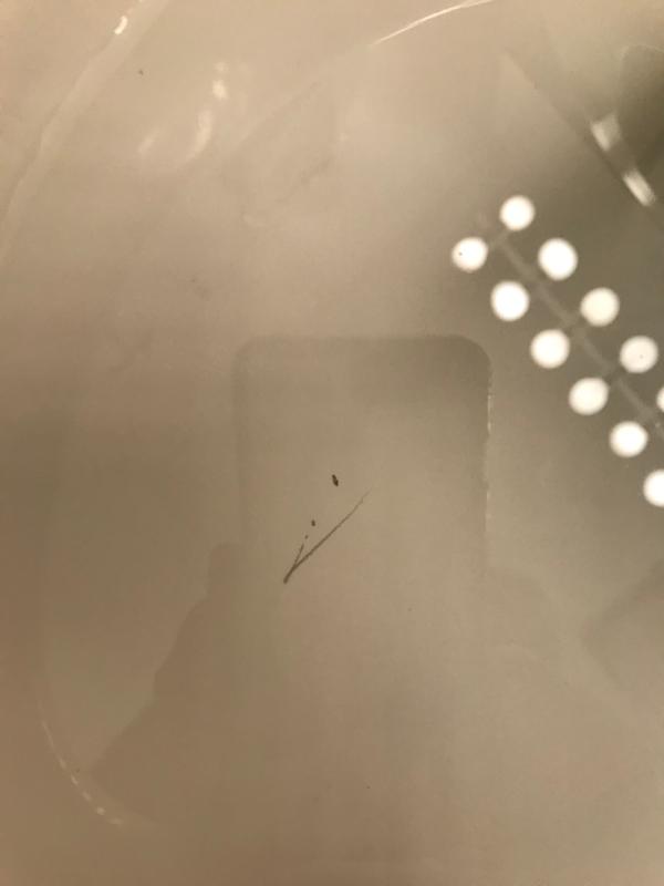 OXO Good Grips® Stainless Steel/White Toilet Brush Bed Bath and