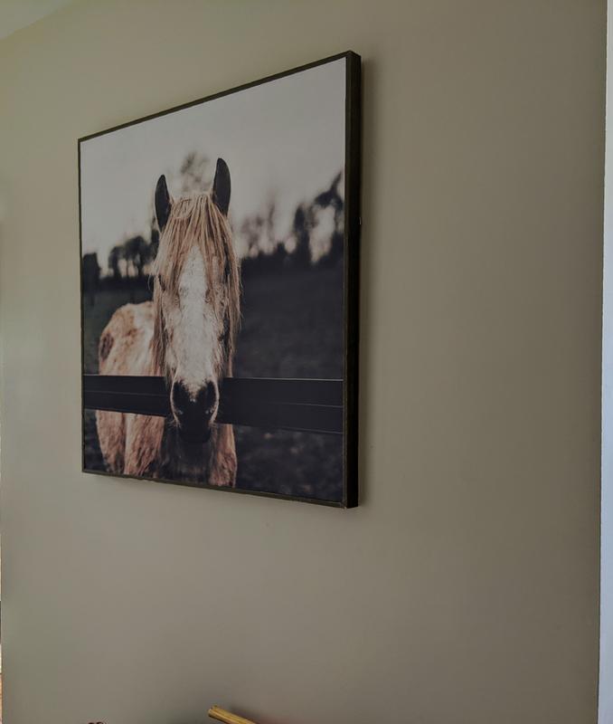 Review image