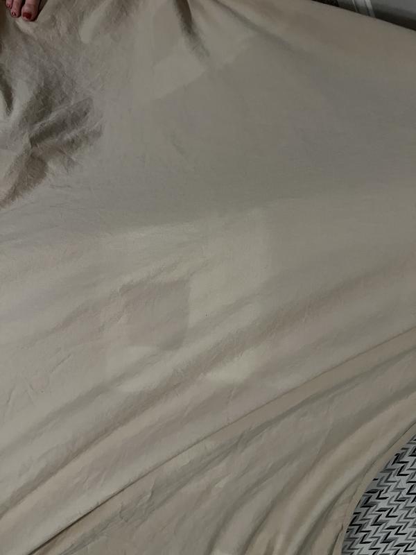 Nestwell™ Pure Earth Organic Cotton 300ThreadCount Twin Sheet Set in