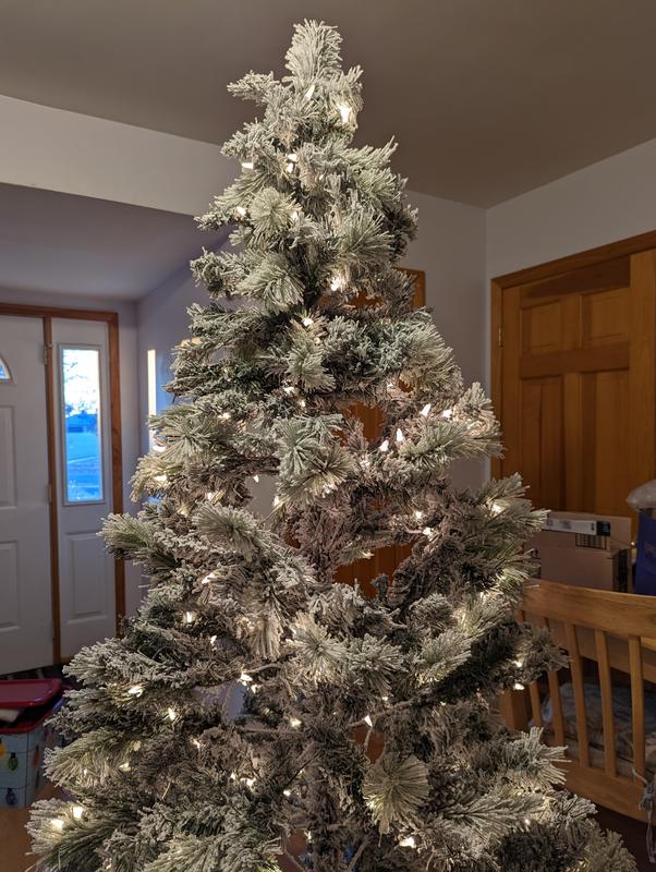 7 Foot Flocked Christmas Tree 