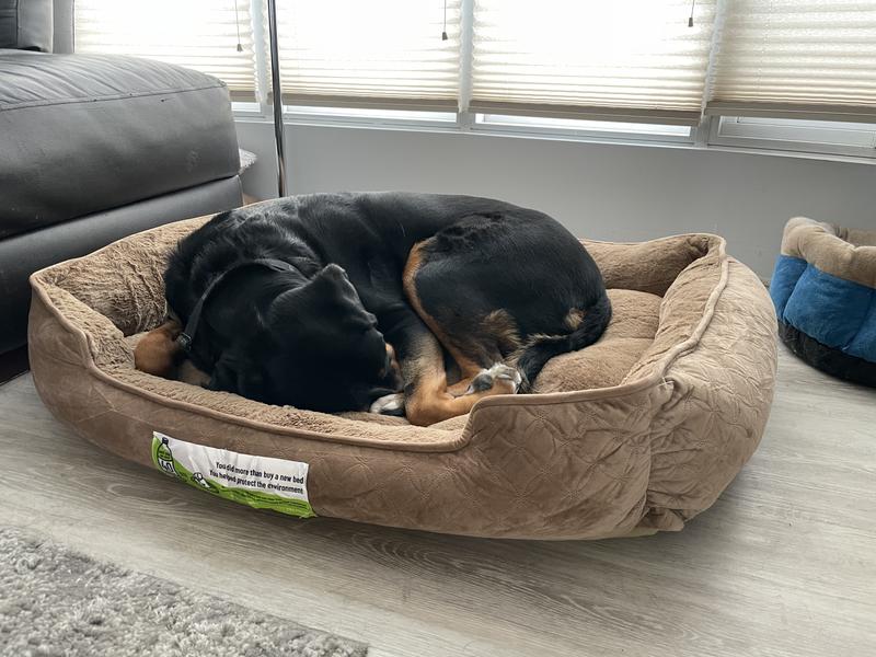 Perfect Pet Collection® Everly Lounger and Cuddler Pet Bed in