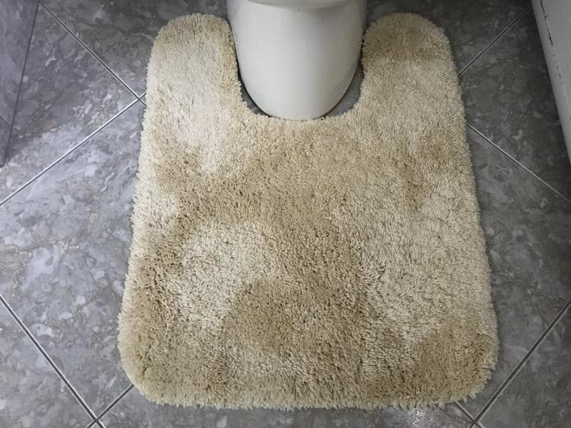 Nestwell™ Performance Bath Rug Bed Bath and Beyond Canada