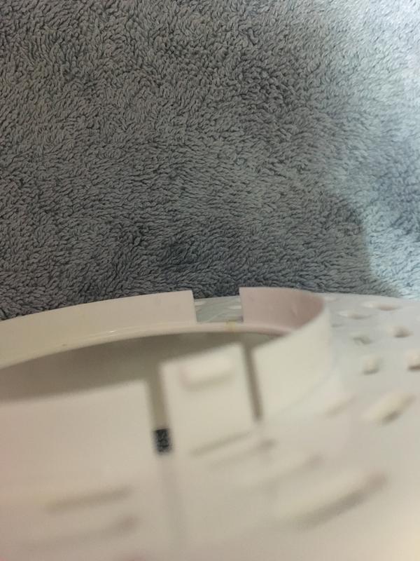 Dash® Citrus Juicer in White Bed Bath & Beyond