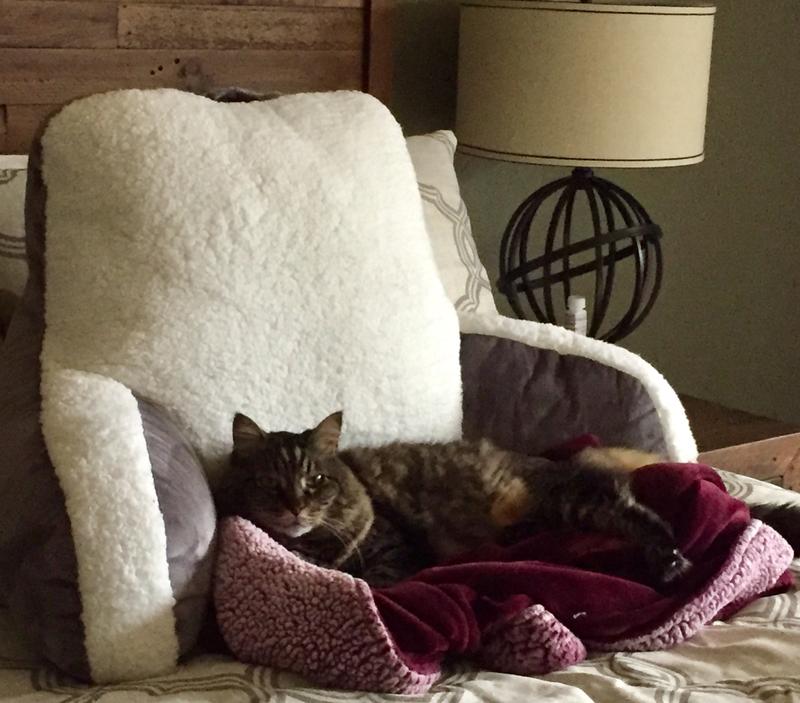 UGG® Clifton Backrest Pillow in Charcoal Bed Bath and Beyond Canada