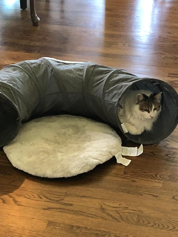 Pawslife® Cat Tunnel Bed in Grey | Bed Bath and Beyond Canada