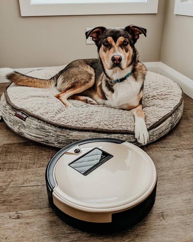 bObsweep PetHair Plus Robotic Vacuum Cleaner and Mop Bed Bath & Beyond