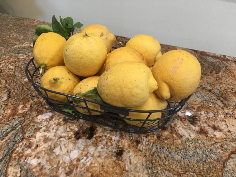 Bee & Willow™ Bread Basket/Hanger in Dark Grey Bed Bath & Beyond