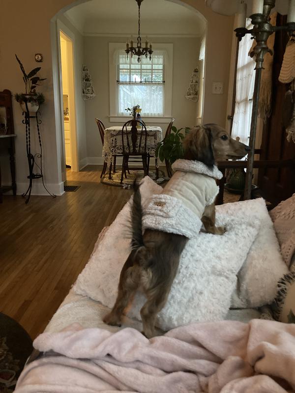 UGG® Quilted Dog Coat in Fawn Bed Bath & Beyond