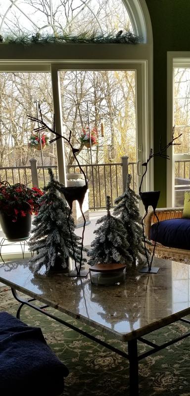 White Tipped Cones and 35 Battery Operated Warm White LED Lights GLM1-300-20H-B1 National Tree 20 Inch Glittery Mountain Spruce Hanging Basket with Red Berries 