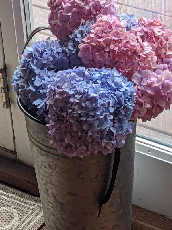 Rustic Galvanized Hammered Metal Vase with Strap Handles Bed Bath and