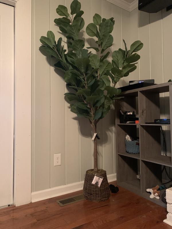 Review image