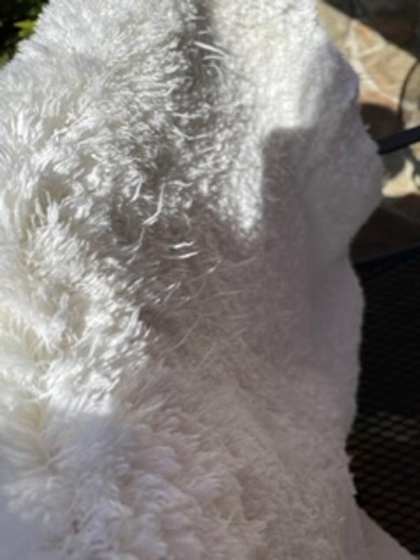 Nestwell™ Ultimate Soft Bath Rug Collection Bed Bath and Beyond Canada