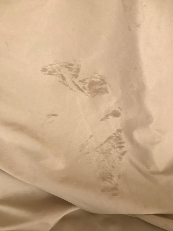 SALT™ Microfiber Sheet Set Bed Bath & Beyond