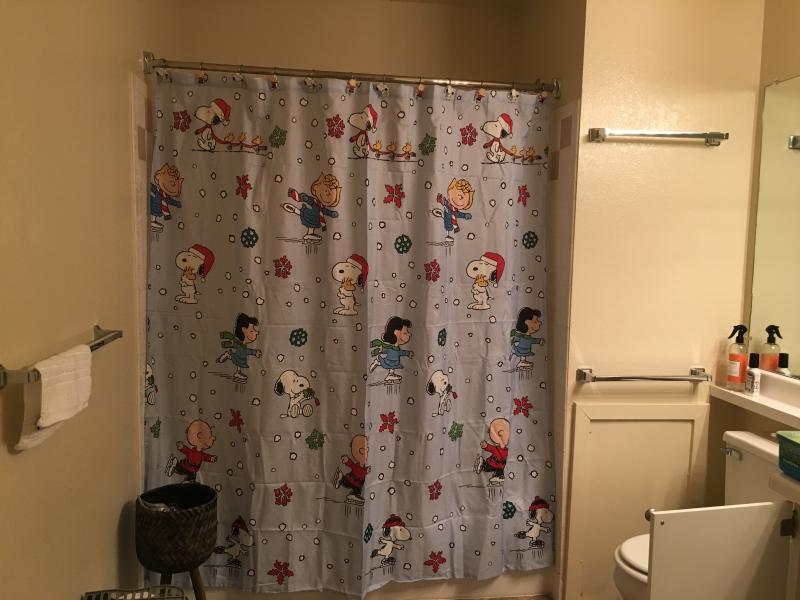 Peanuts Holiday Skating 70 Inch X 72 Inch Shower Curtain With Hooks Set In Light Blue Bed Bath Beyond