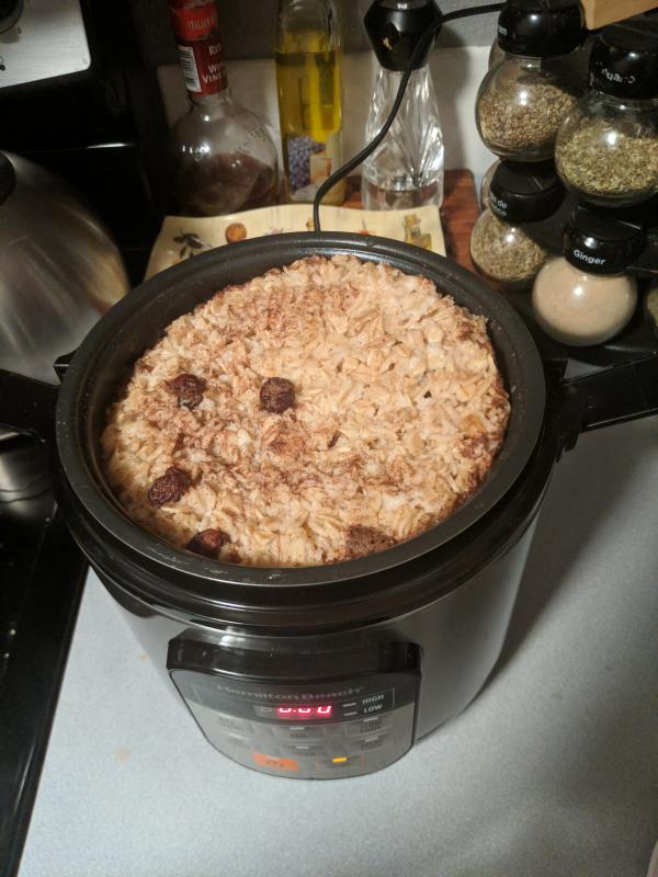 Hamilton Beach 1.5 qt. Stainless Steel Compact MultiCooker Bed Bath and Beyond Canada