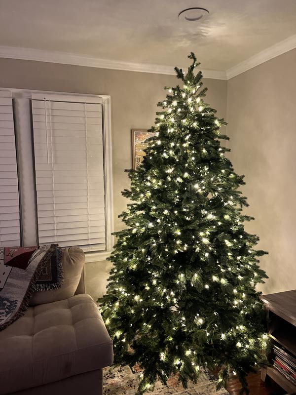 National Tree Company 7.5Foot PreLit Princeton Deluxe Fraser Fir