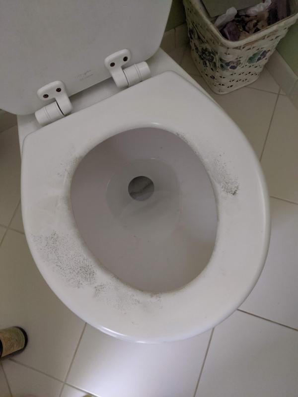 Mayfair Round Molded Wood Whisper Close® Toilet Seat in White Customer