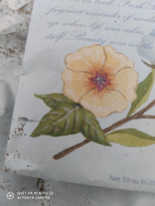 Fresh Scents™ Scent Packets in Passion Flower (Set of 3) Bed Bath