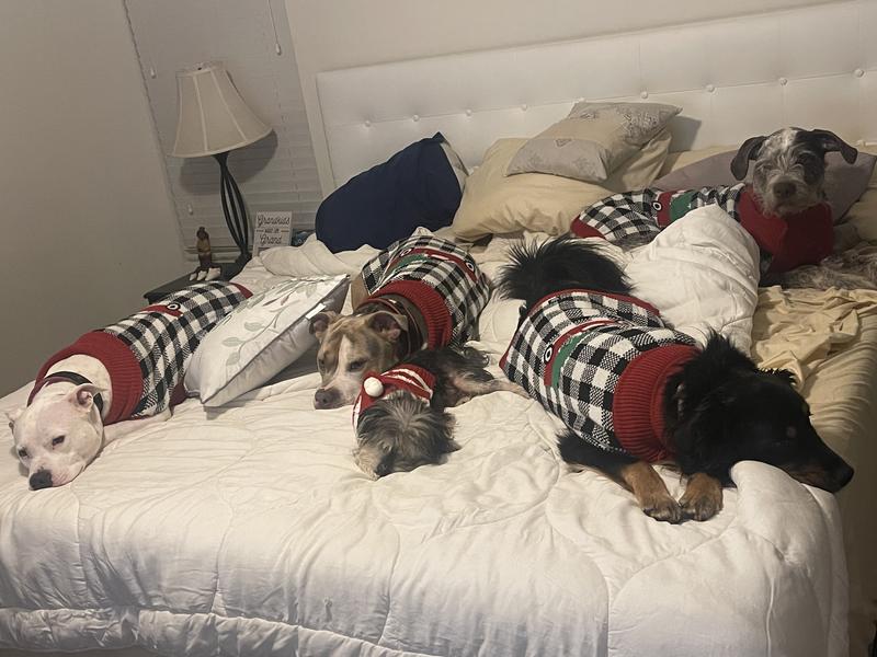 Buffy Cloud Down Alternative Twin/Twin XL Comforter Bed Bath & Beyond